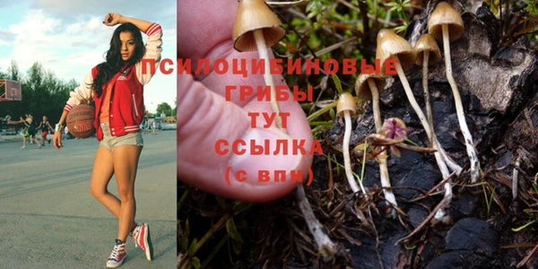 альфа пвп Тобольск