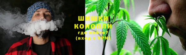 ECSTASY Дмитриев