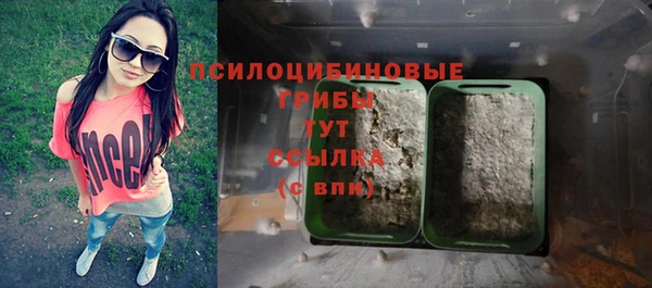 PSILOCYBIN Дмитров