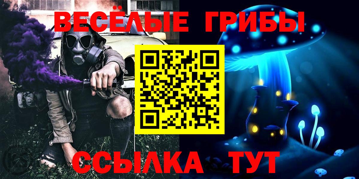 Галлюциногенные грибы Magic Shrooms  Белорецк  Псилоцибиновые грибы GOLDEN TEACHER 