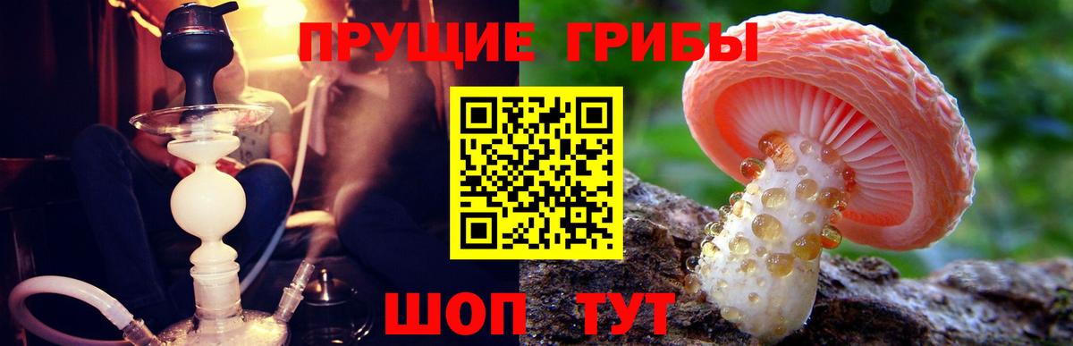 Белорецк  Псилоцибиновые грибы мухоморы  дарнет шоп  Псилоцибиновые грибы Magic Shrooms  Вход с VPN 